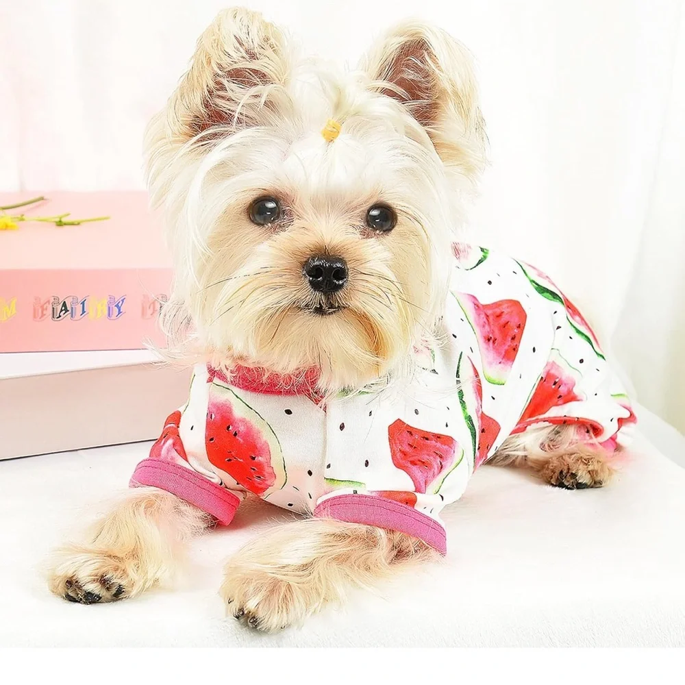 YIKEYO cute watermelon